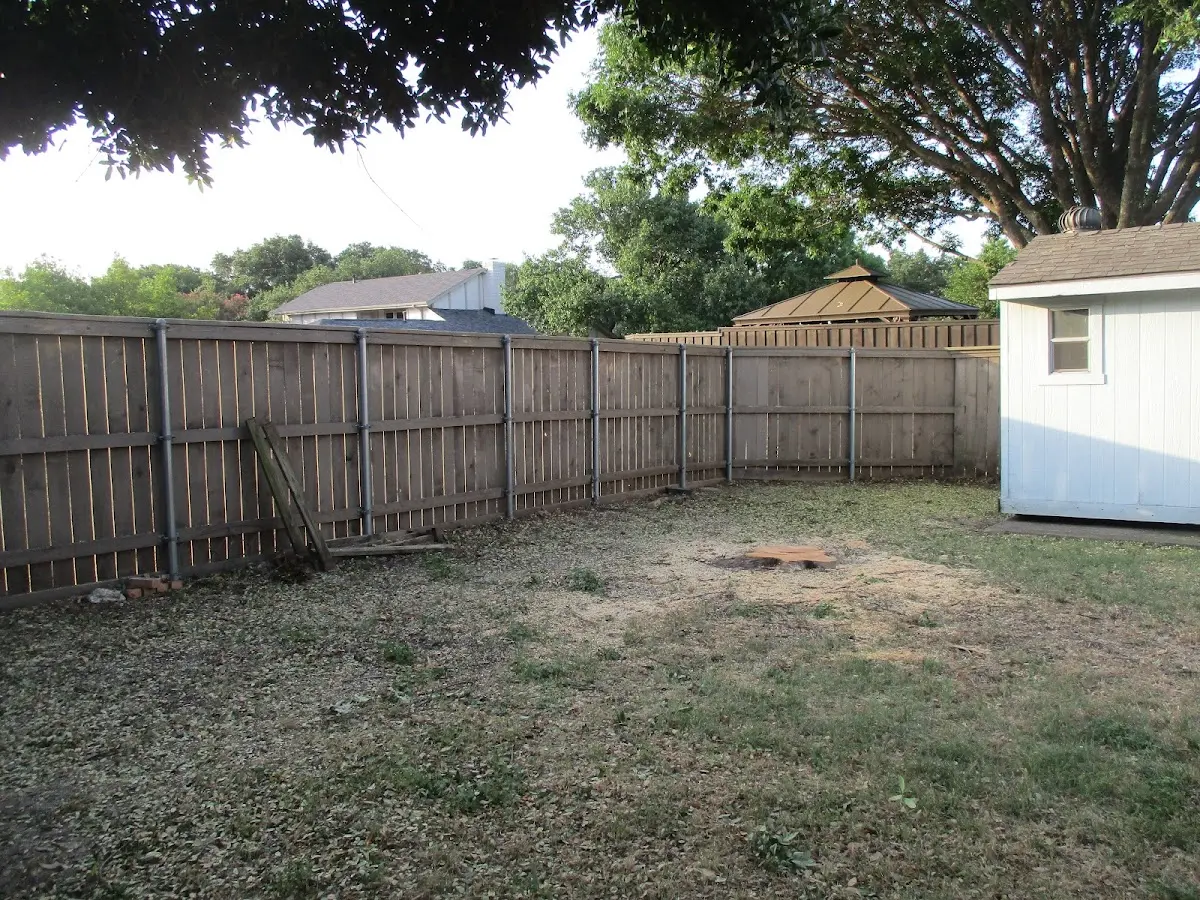 Cleared yard after professional tree removal in Fifty Lakes